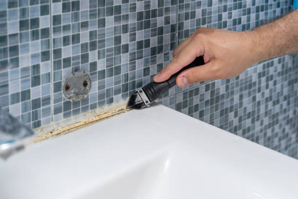 Best Fast Mold Removal  in Highland Beach, FL